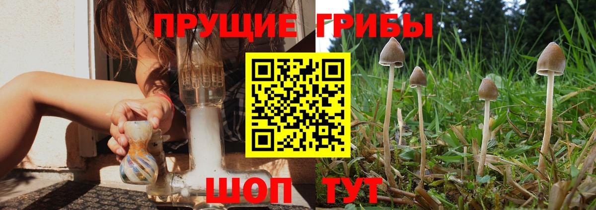 магазин продажи наркотиков  Вход с VPN  Псилоцибиновые грибы ЛСД  Советский  Псилоцибиновые грибы Psilocybine cubensis 